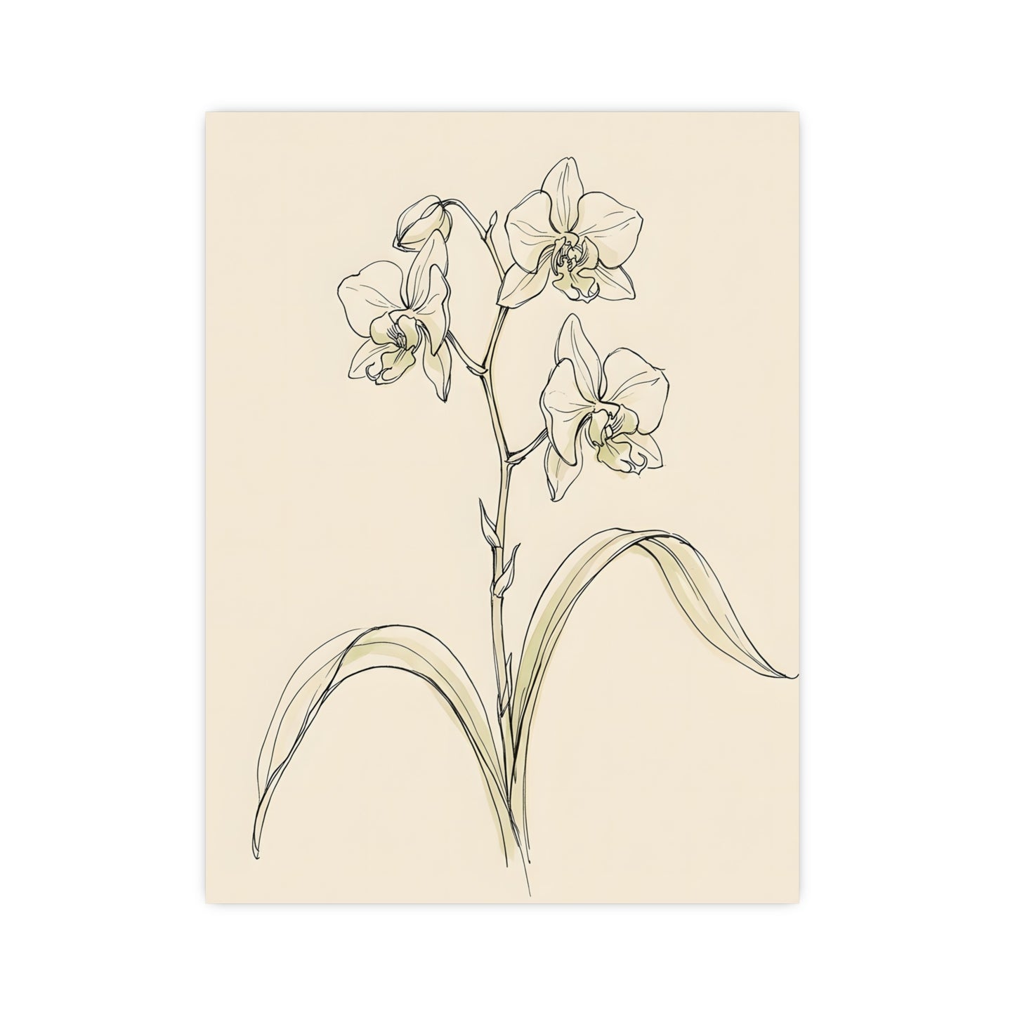 Orchid — orchid, 16x24 in print