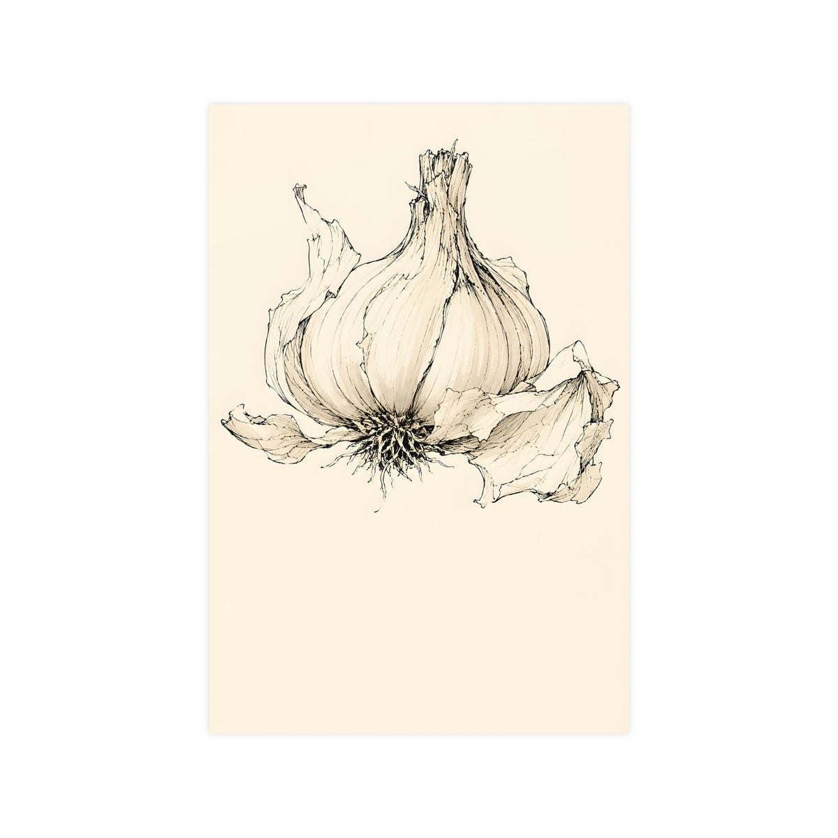 Garlic — garlic, 12x18 in print