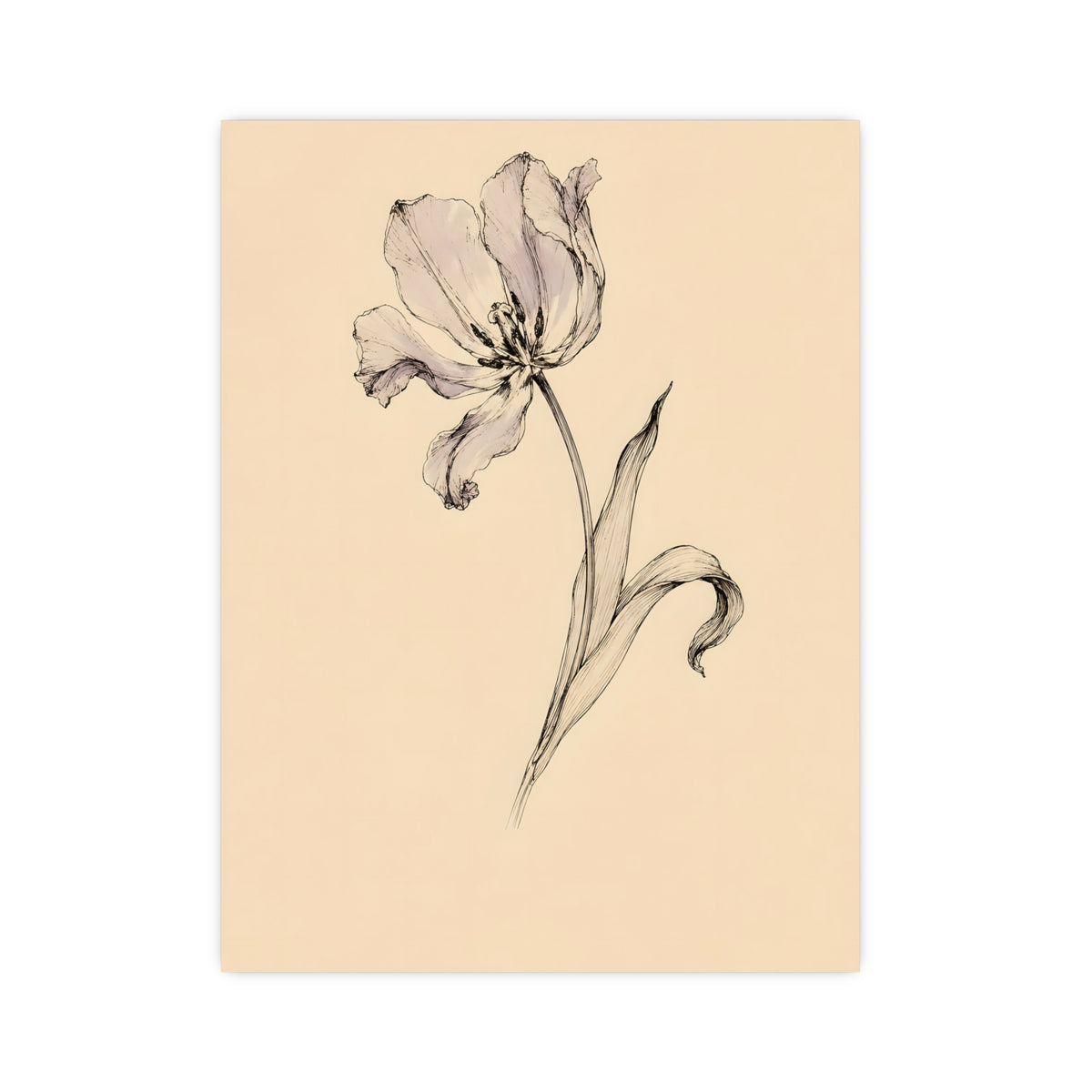 Tulip, Just Past — tulip, just past, 12x16 in print