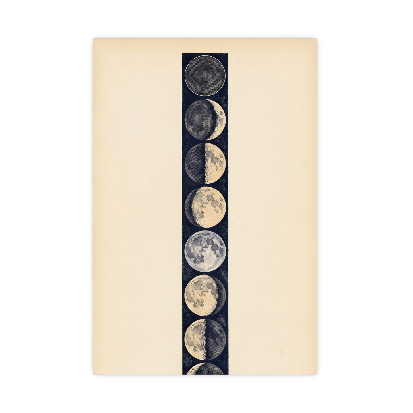 Phases of the Moon — phases of the moon, 18x24 in print