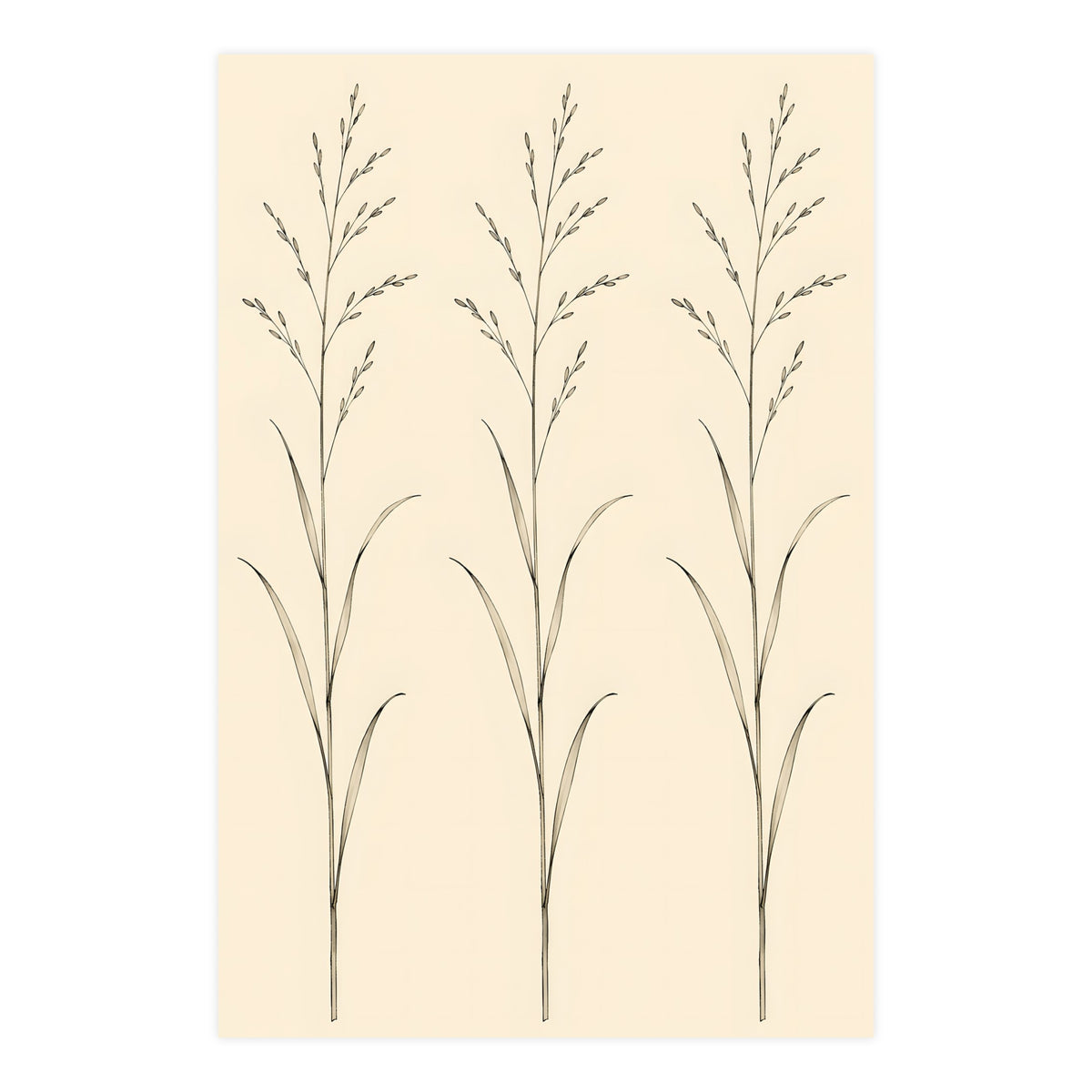 Three Stems — three stems, 24x36 in print