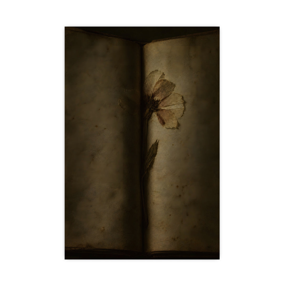 Pressed Flat — pressed flat, 20x30 in print