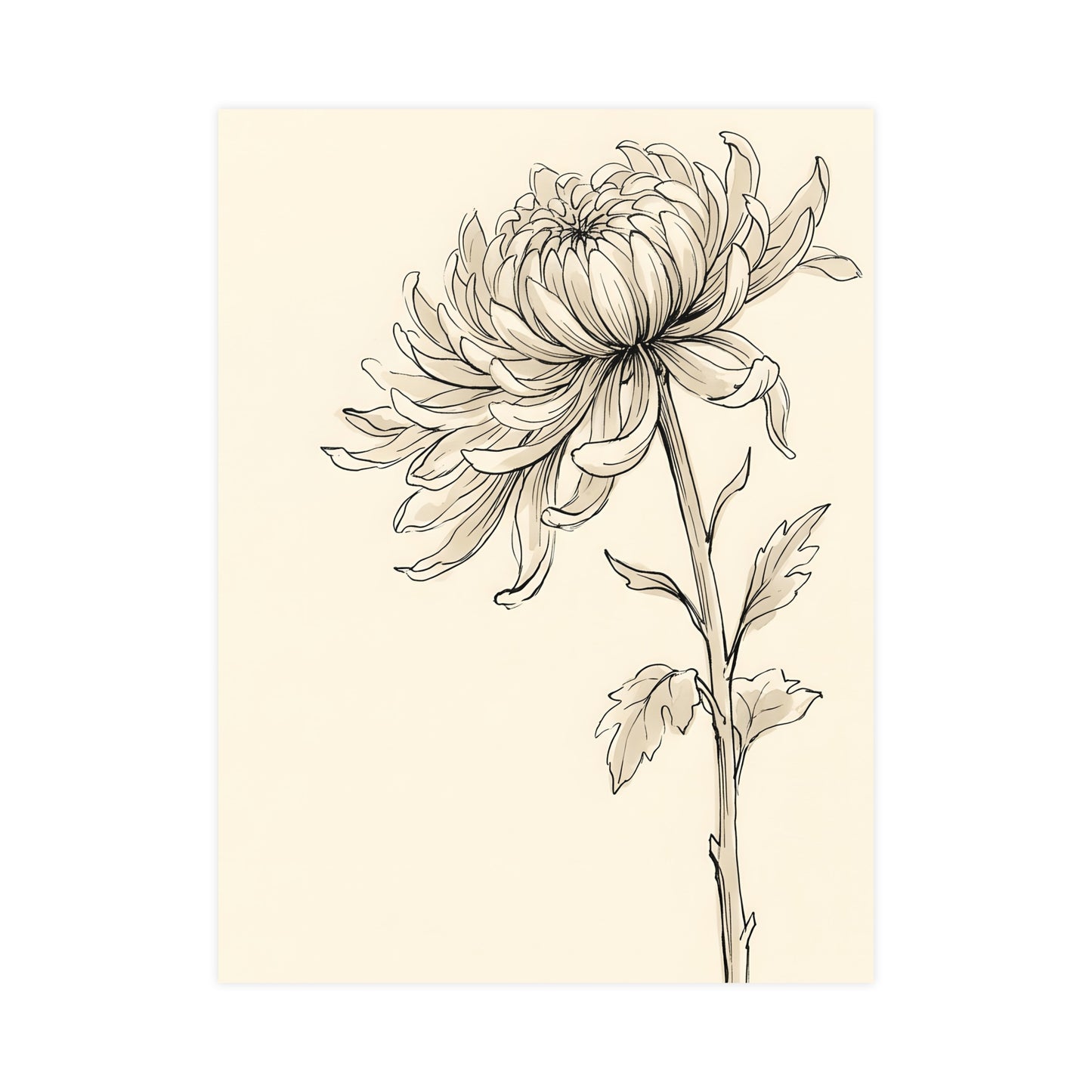 Chrysanthemum | Botanical Line Drawing | Wall Art