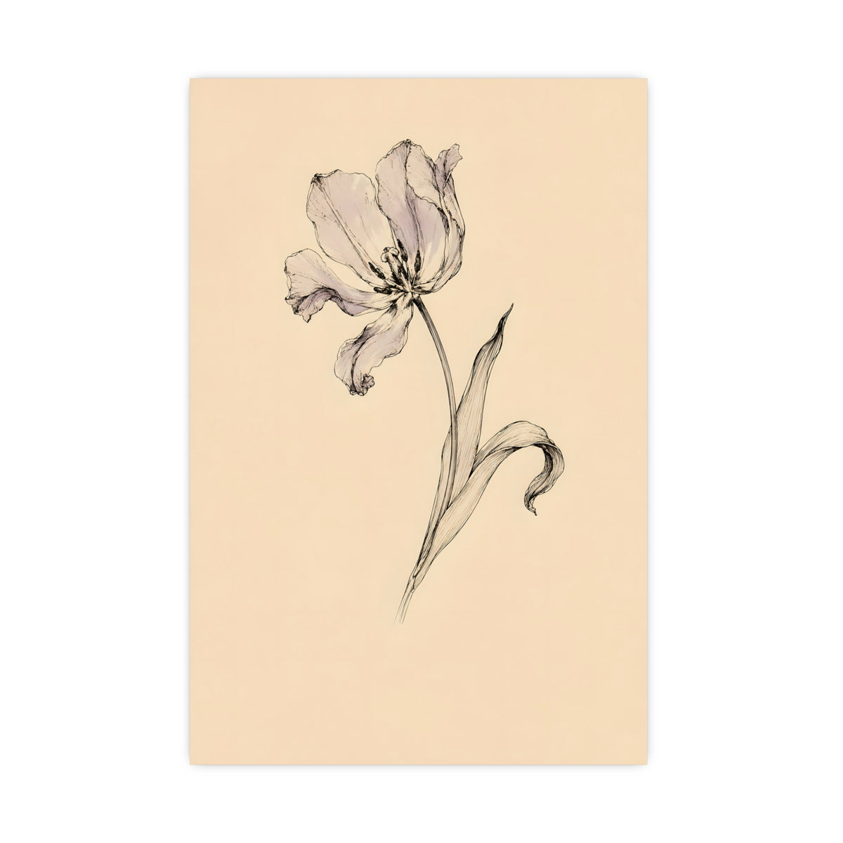 Tulip, Just Past — tulip, just past, 16x24 in print