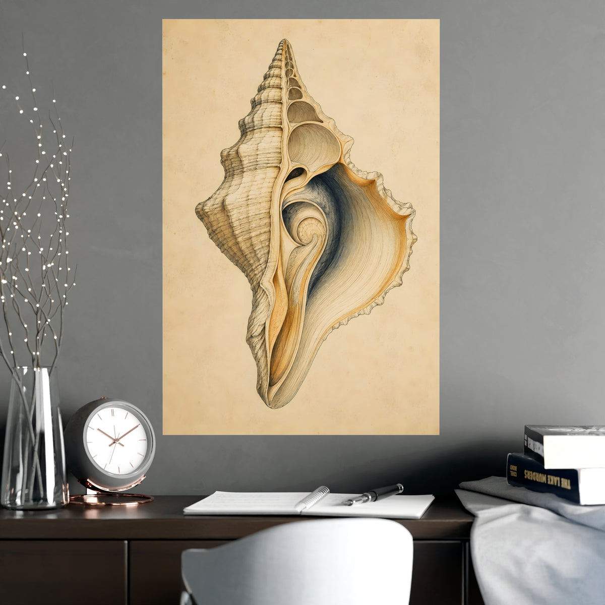 Conch Shell — conch shell, shown framed on a wall