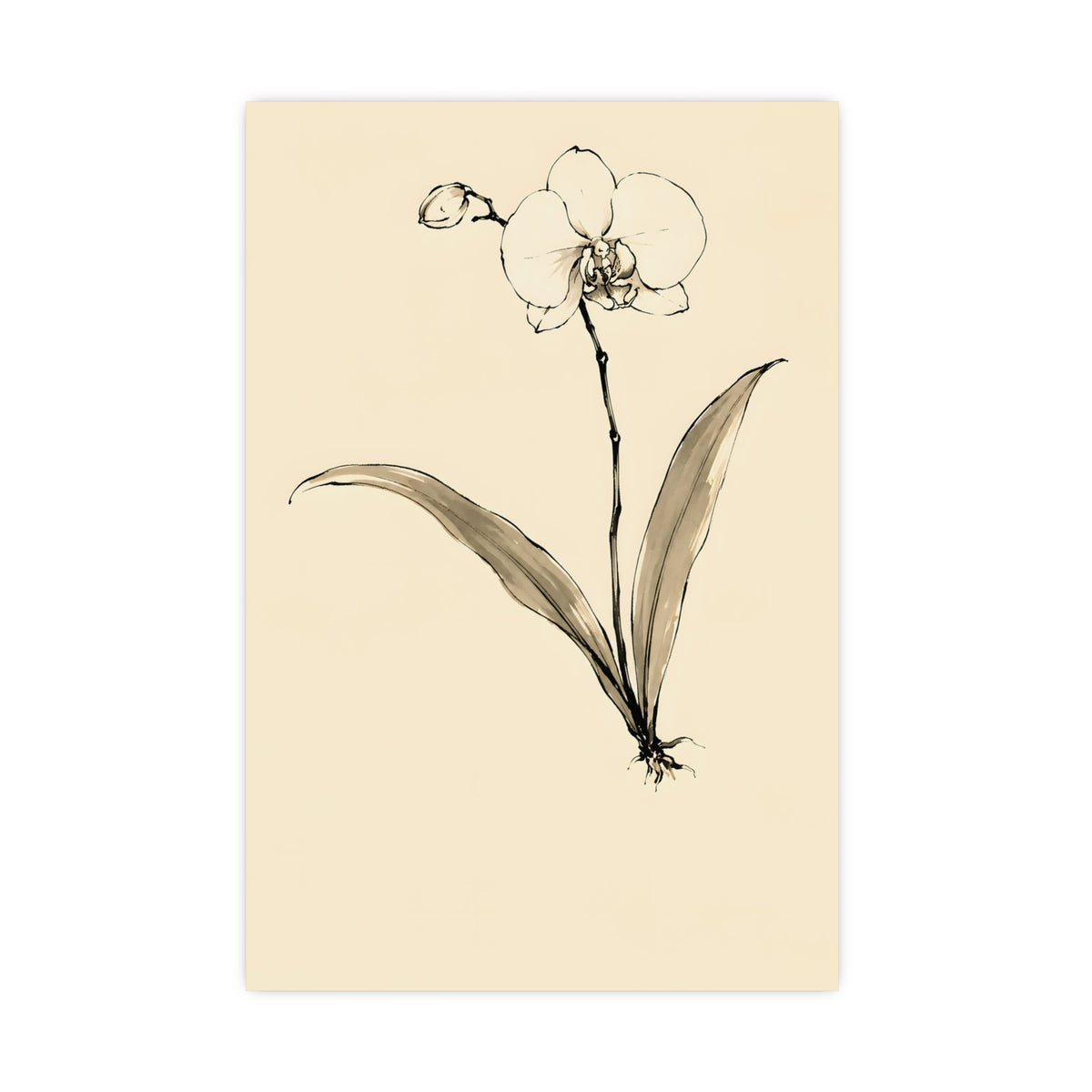 Orchid — orchid, 16x24 in print