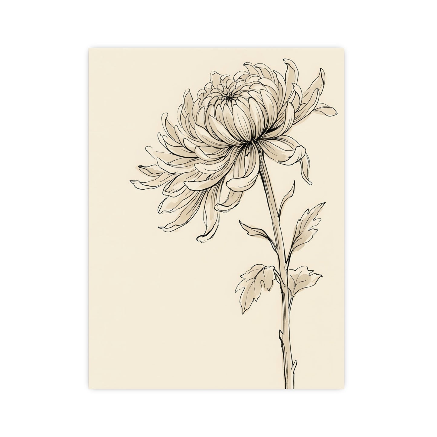 Chrysanthemum | Botanical Line Drawing | Wall Art