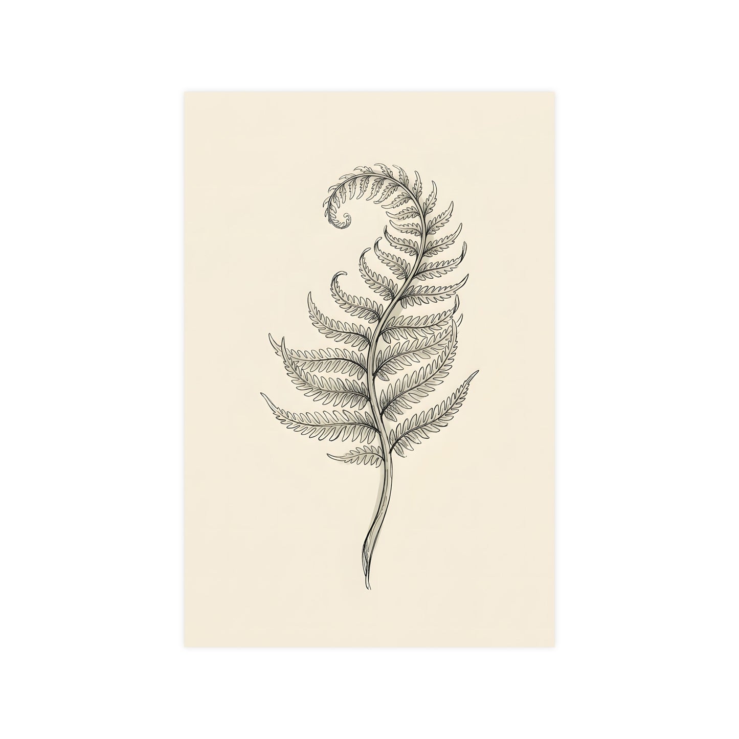 Fern Frond — fern frond, 12x16 in print