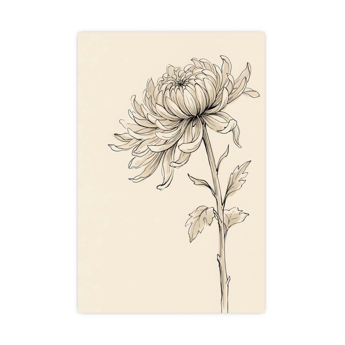 Chrysanthemum | Botanical Line Drawing | Wall Art