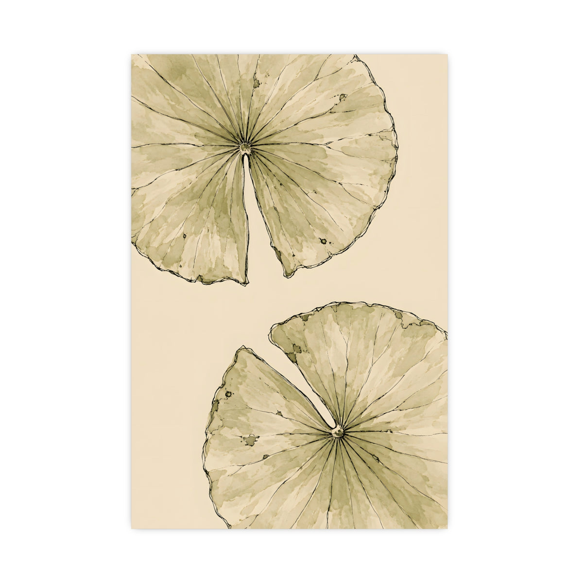 Lily Pads from Above — lily pads from above, 16x24 in print
