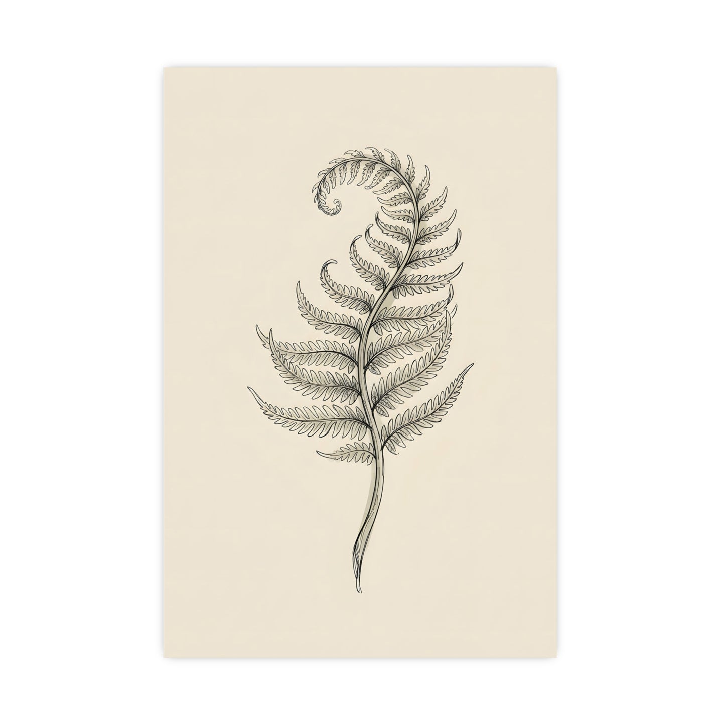 Fern Frond — fern frond, 20x30 in print