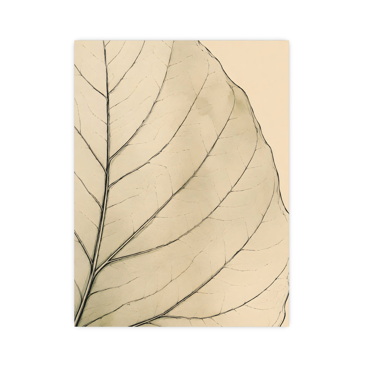 Leaf, Up Close — leaf, up close, 12x16 in print