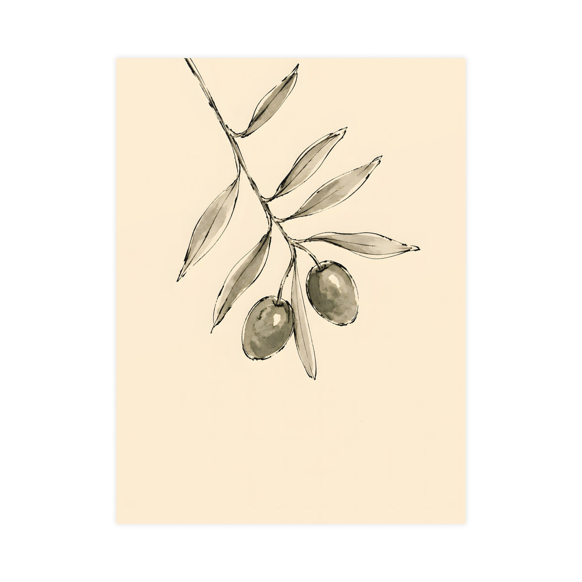 Olive Branch — olive branch, 18x24 in print