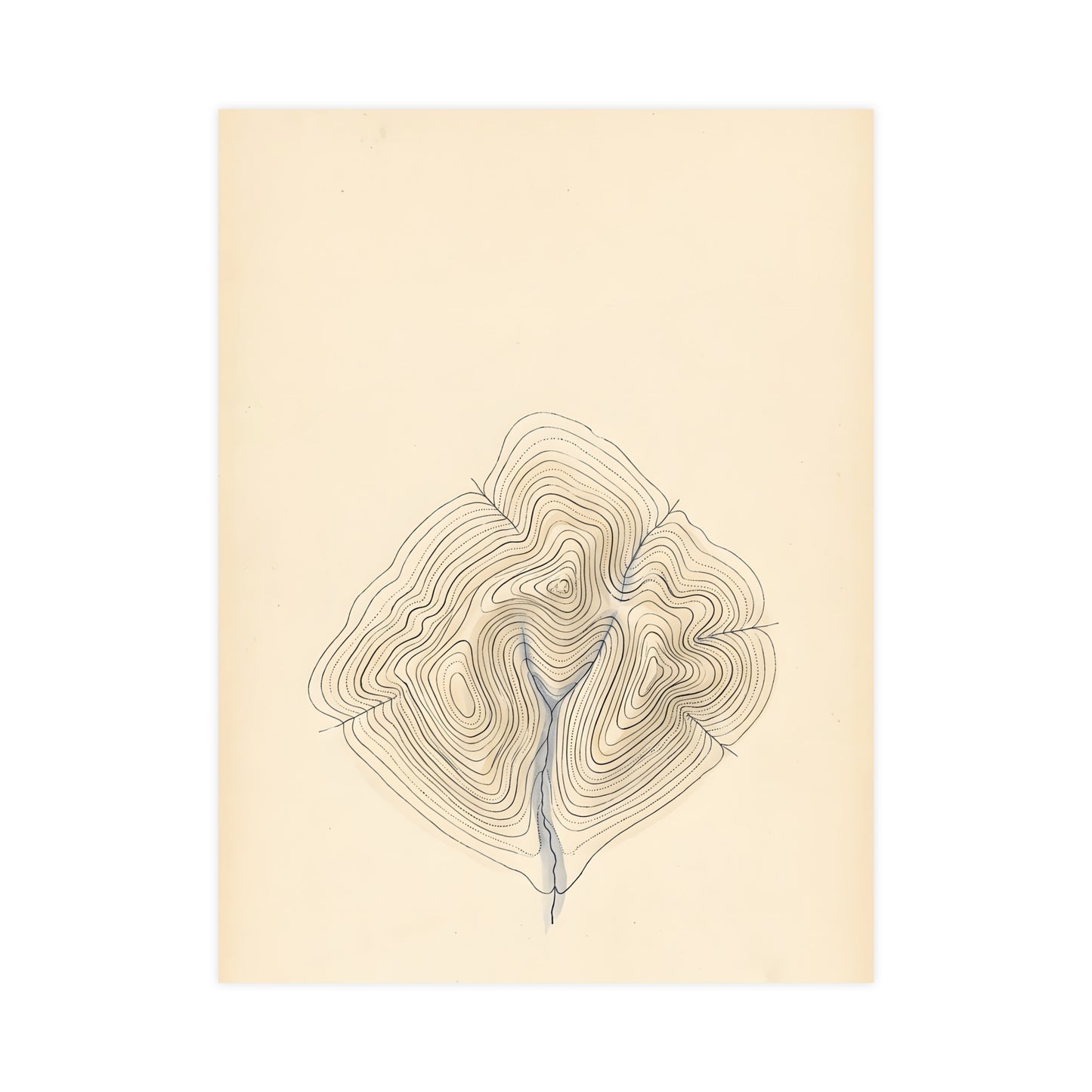 Contour Lines — contour lines, 12x18 in print
