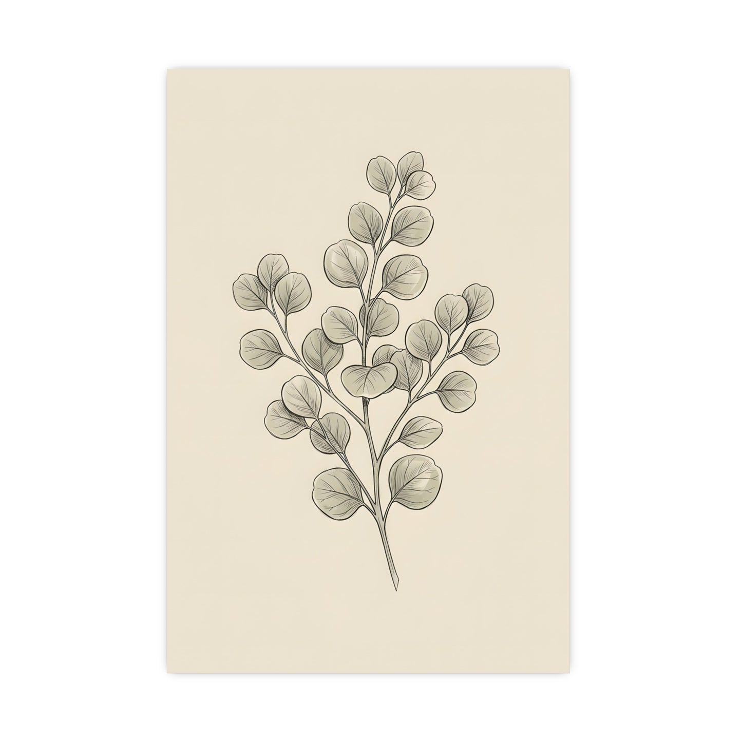 Eucalyptus — eucalyptus, 18x24 in print