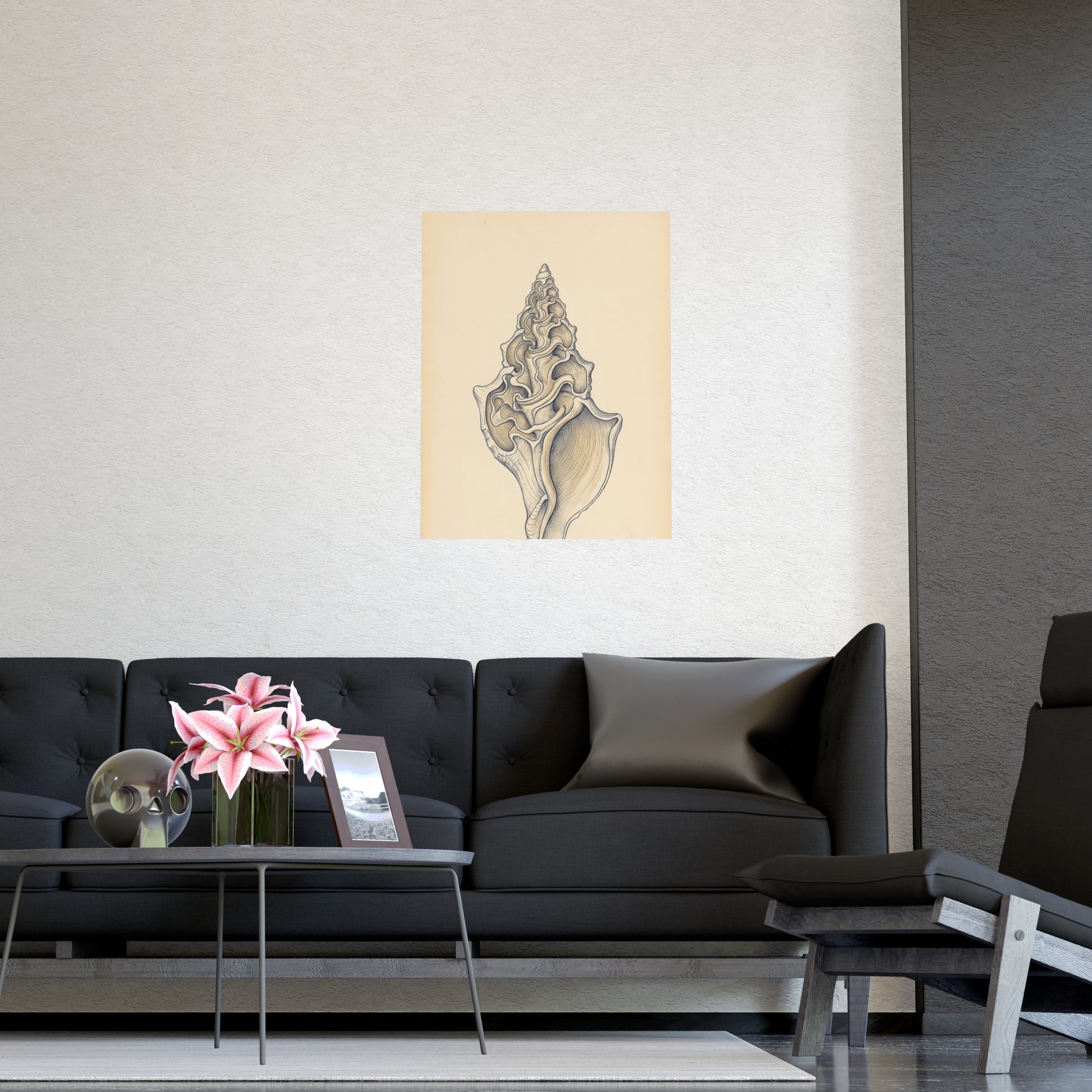 Conch Shell framed on a cream wall in a living room, 11x17 in print