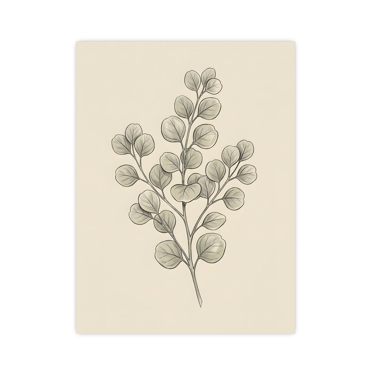 Eucalyptus — eucalyptus, 16x24 in print