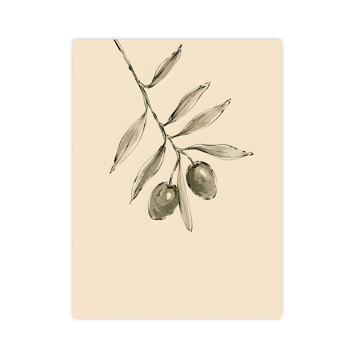 Olive Branch — olive branch, 12x16 in print