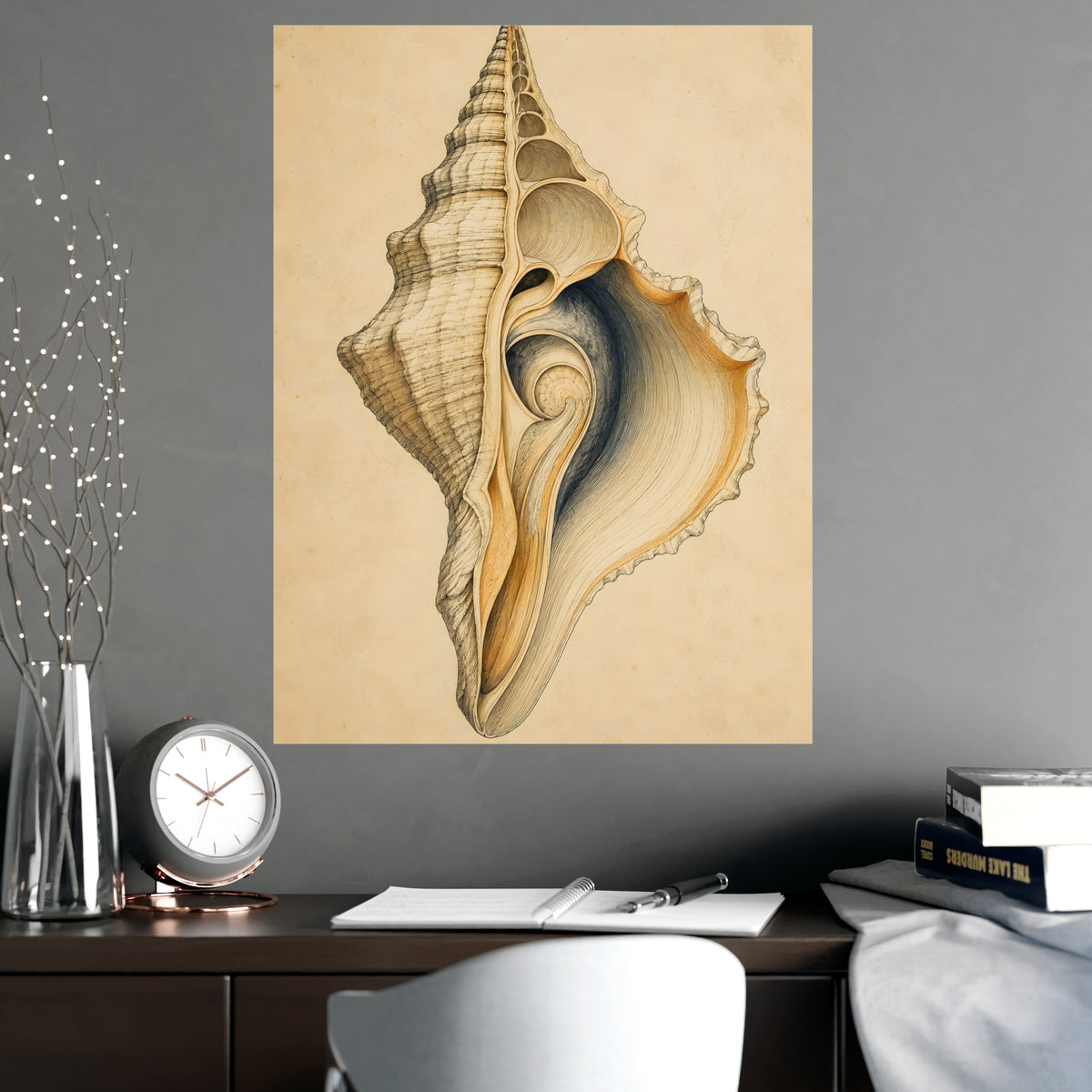 Conch Shell — conch shell, shown framed on a wall