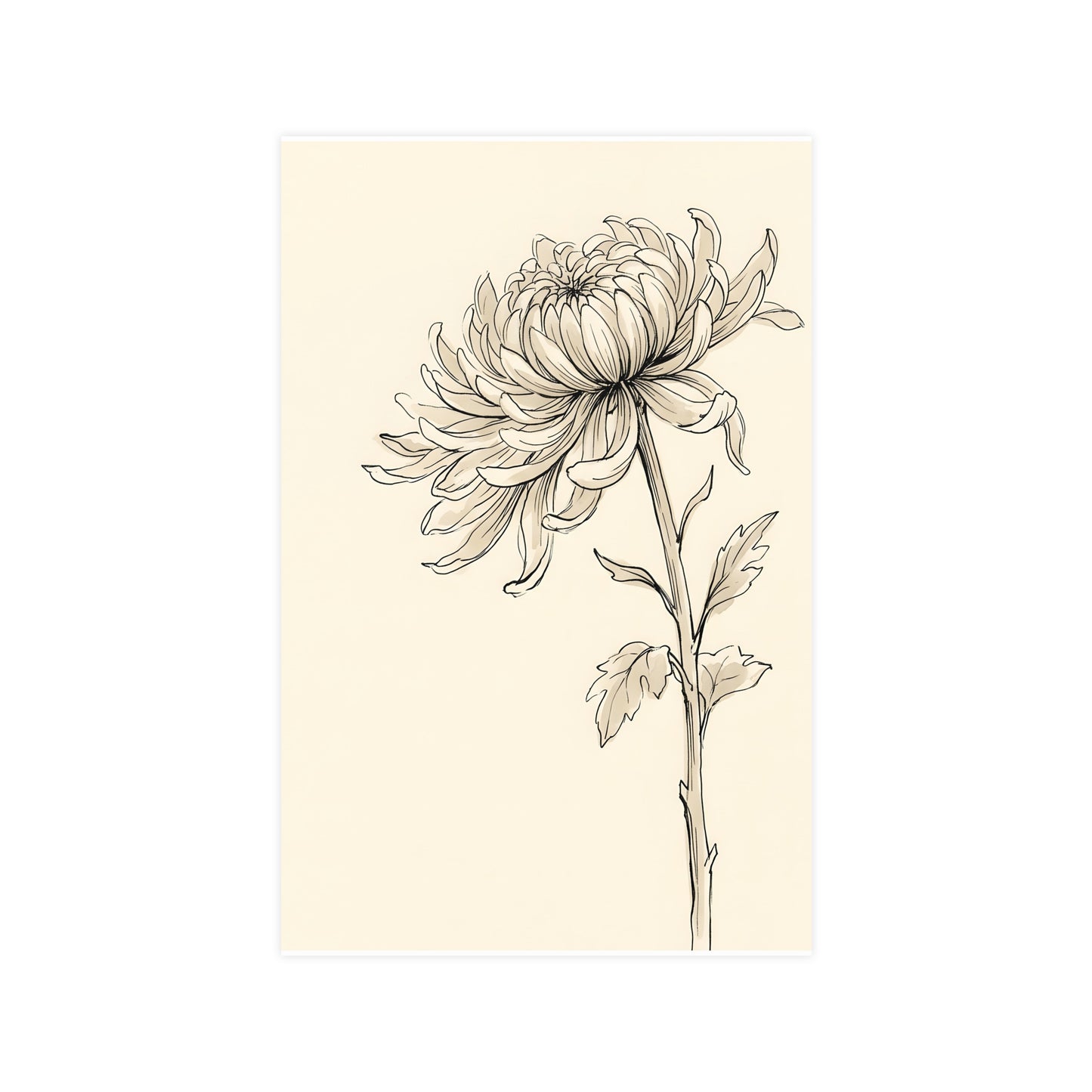 Chrysanthemum | Botanical Line Drawing | Wall Art