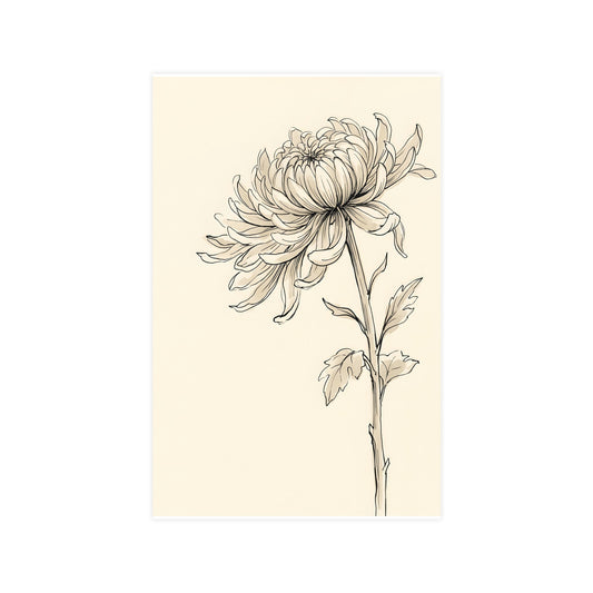 Chrysanthemum — chrysanthemum, 11x17 in print