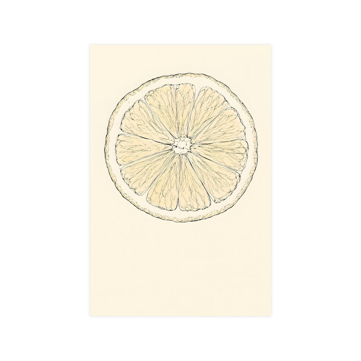 Citrus, Halved — citrus, halved, 12x18 in print