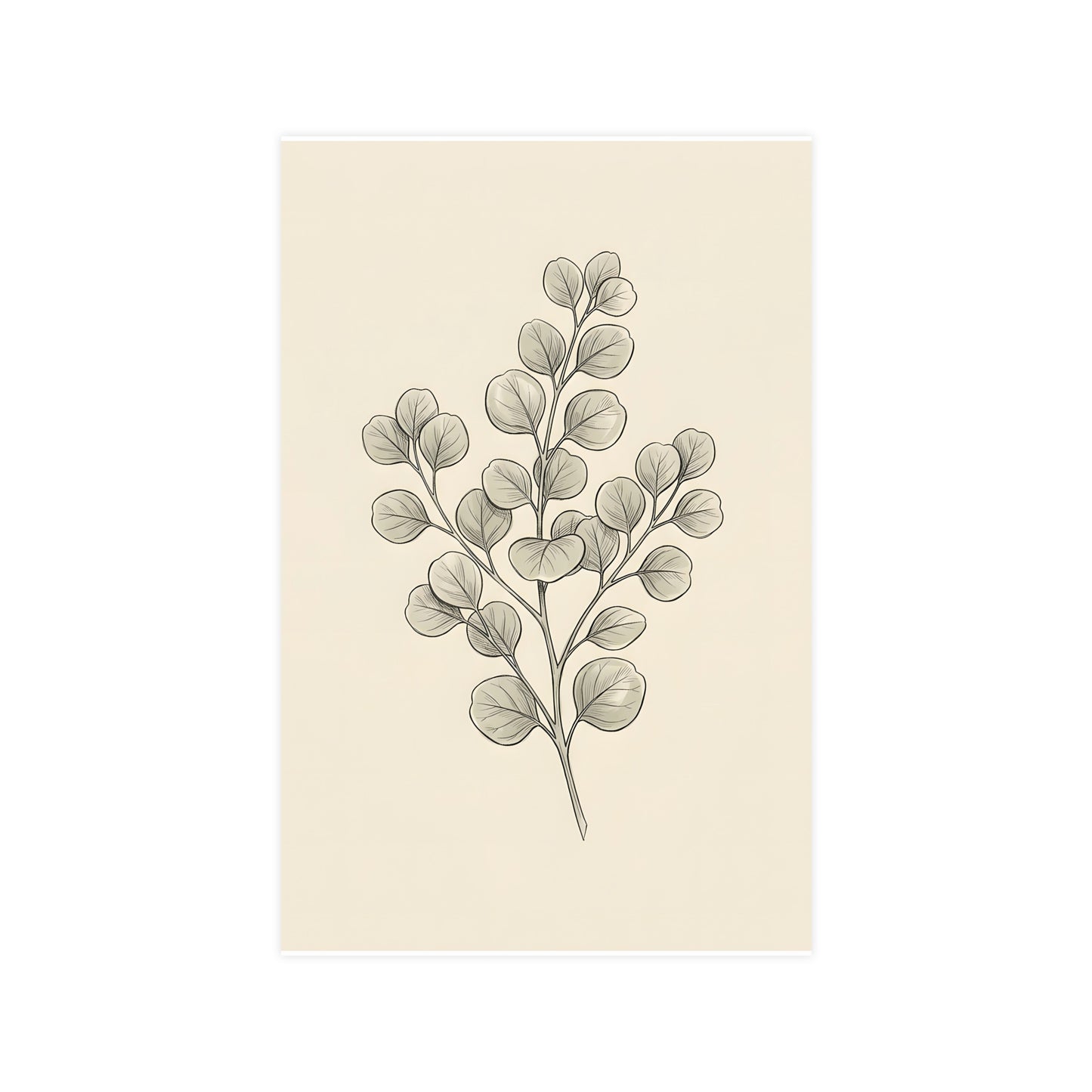 Eucalyptus — eucalyptus, 11x17 in print