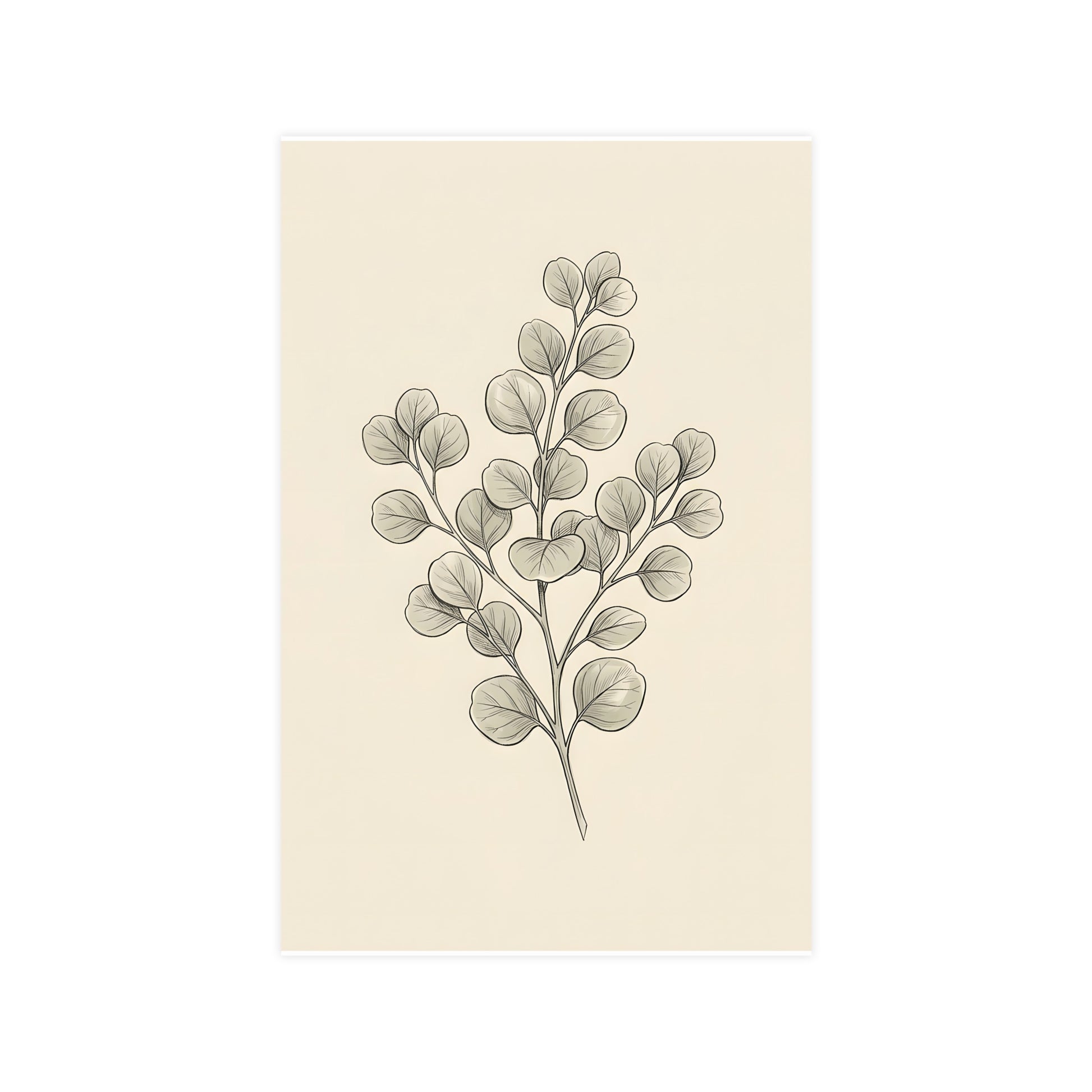 Eucalyptus — eucalyptus, 11x17 in print