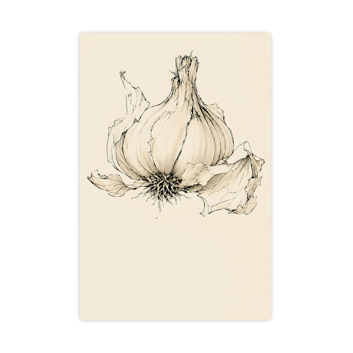 Garlic — garlic, 20x30 in print
