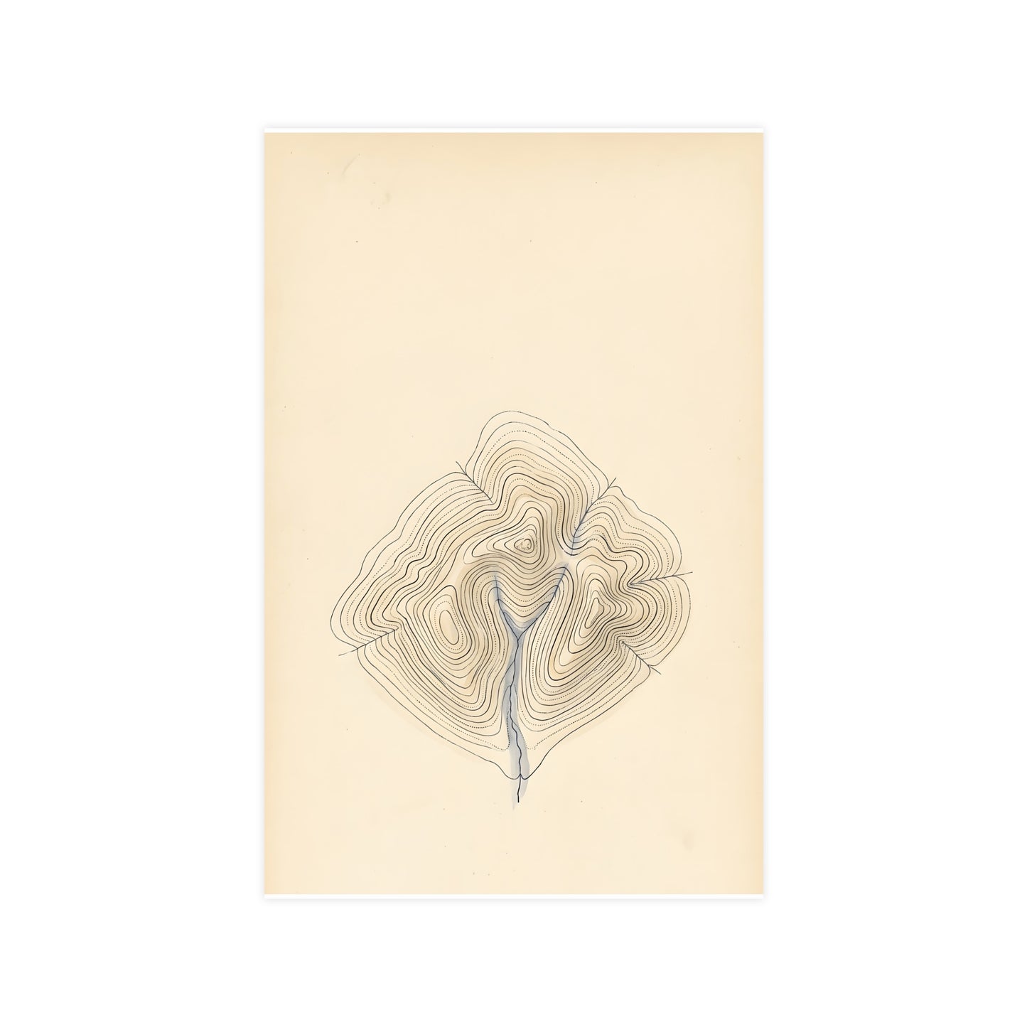 Contour Lines — contour lines, 11x17 in print