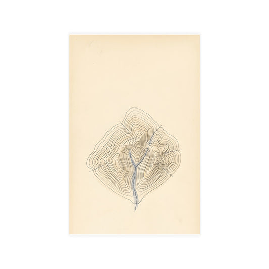 Contour Lines — contour lines, 11x17 in print