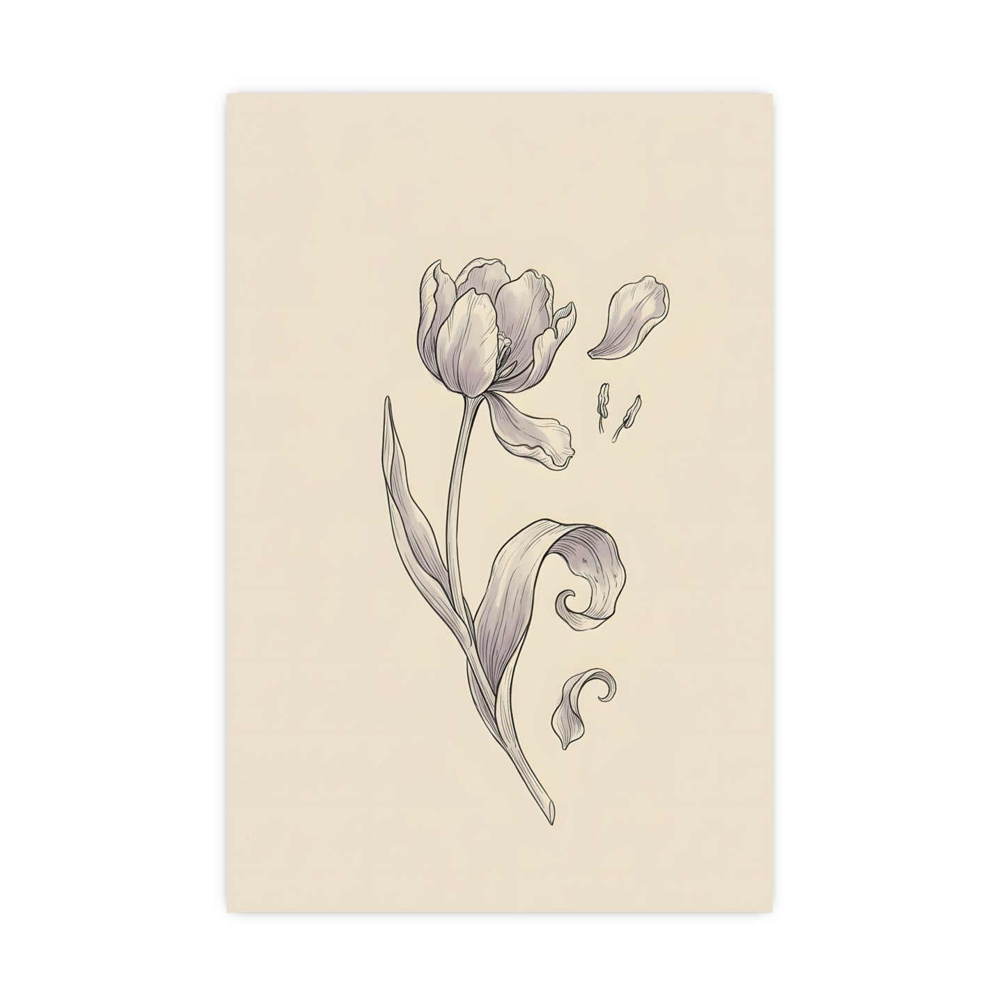 Tulip, Just Past — tulip, just past, 20x30 in print