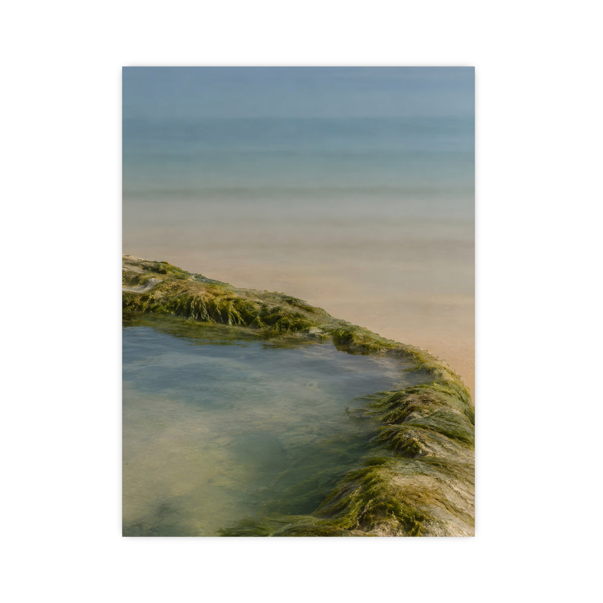 The Rock Pool's Rim — the rock pool's rim, 12x16 in print