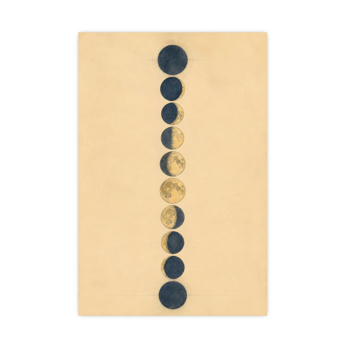 Phases of the Moon — phases of the moon, 16x24 in print