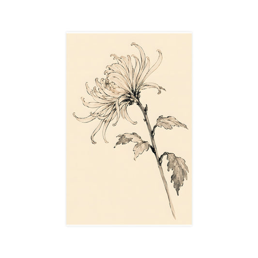 Chrysanthemum — chrysanthemum, 11x17 in print