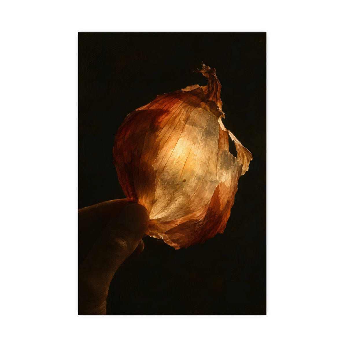 Through the Onion Skin — through the onion skin, 16x24 in print