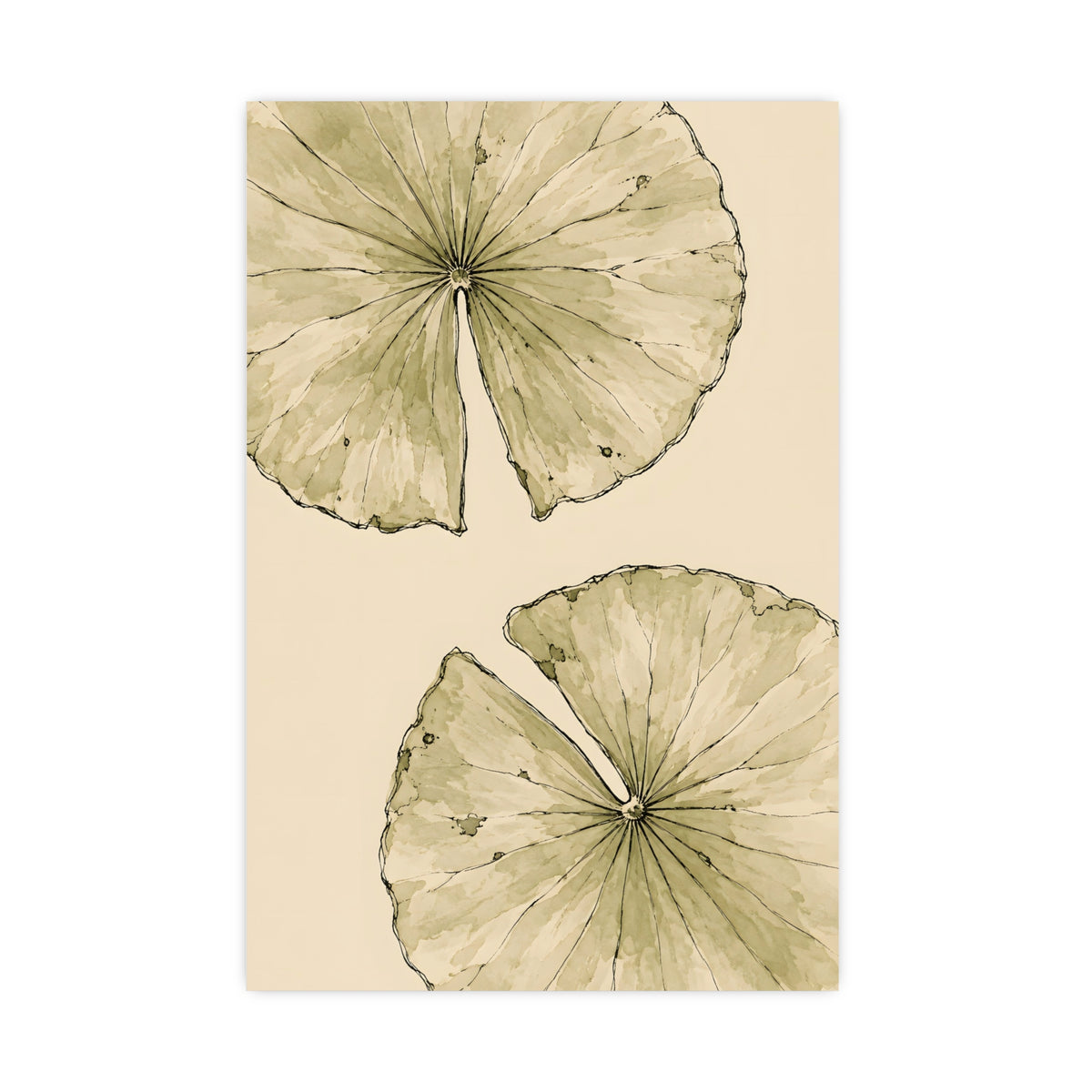 Lily Pads from Above — lily pads from above, 20x30 in print