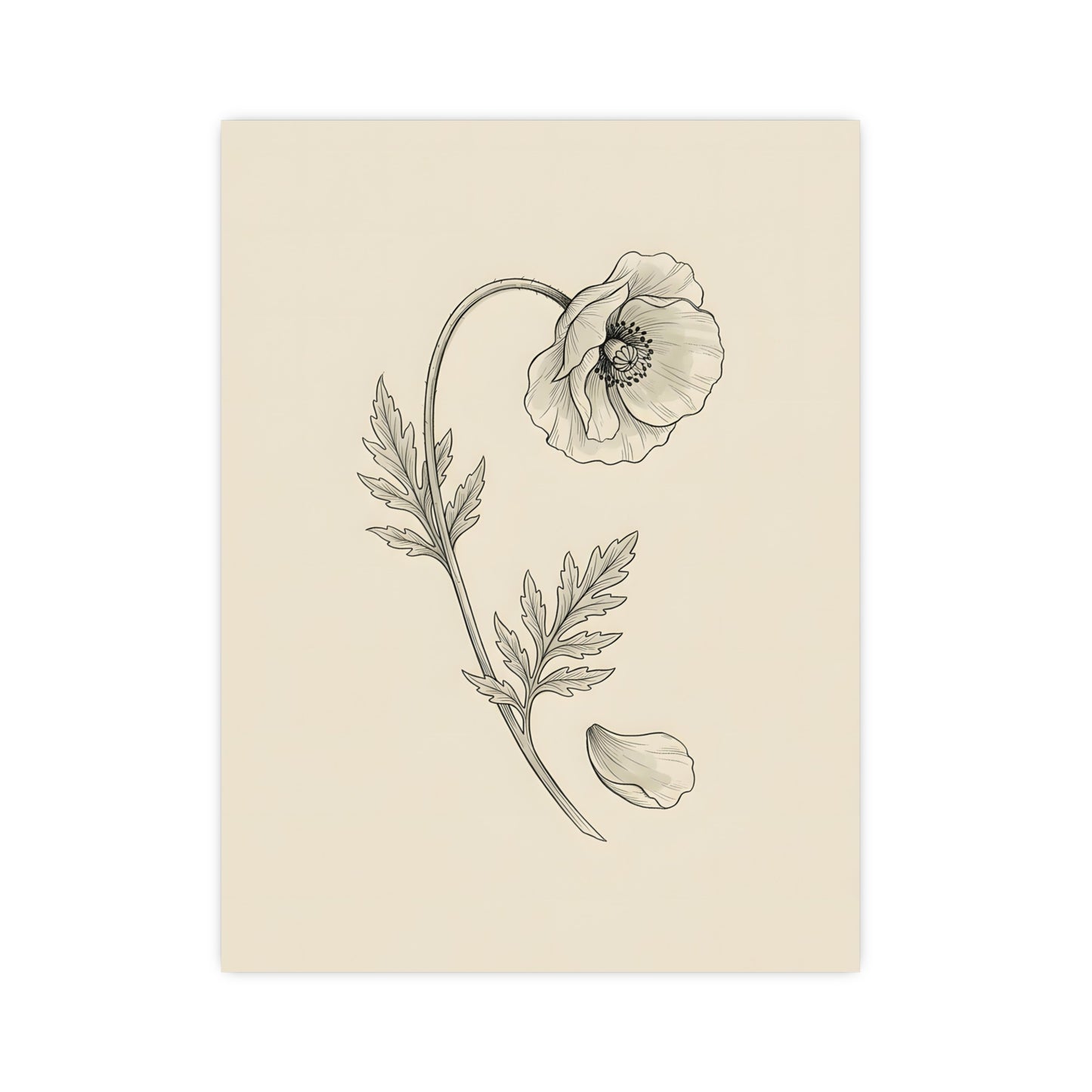Wild Poppy framed on a cream wall in a living room, 16x24 in print